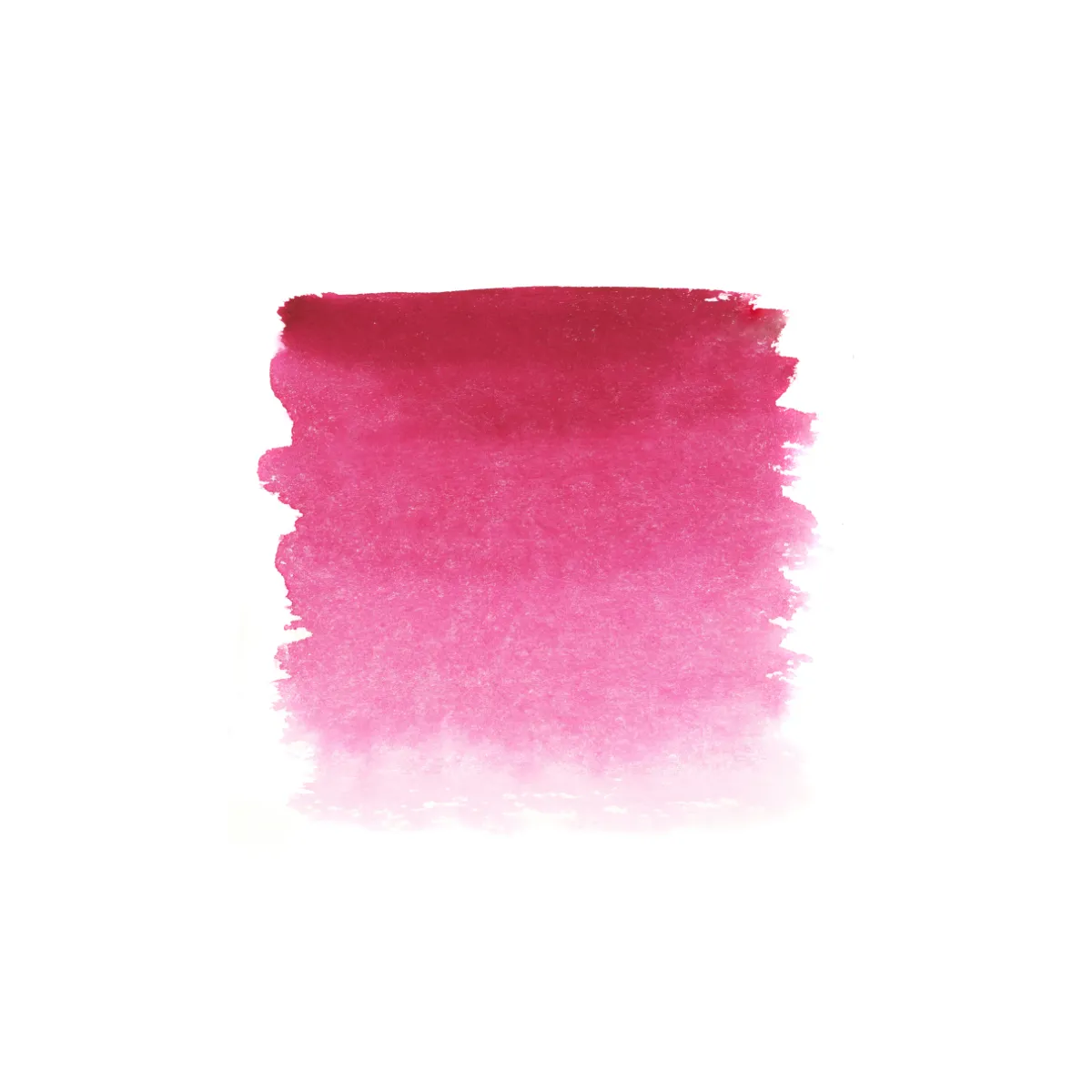 Aquarelle Rose