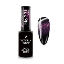 Gel Polish 231 Cat Eyes Rubin