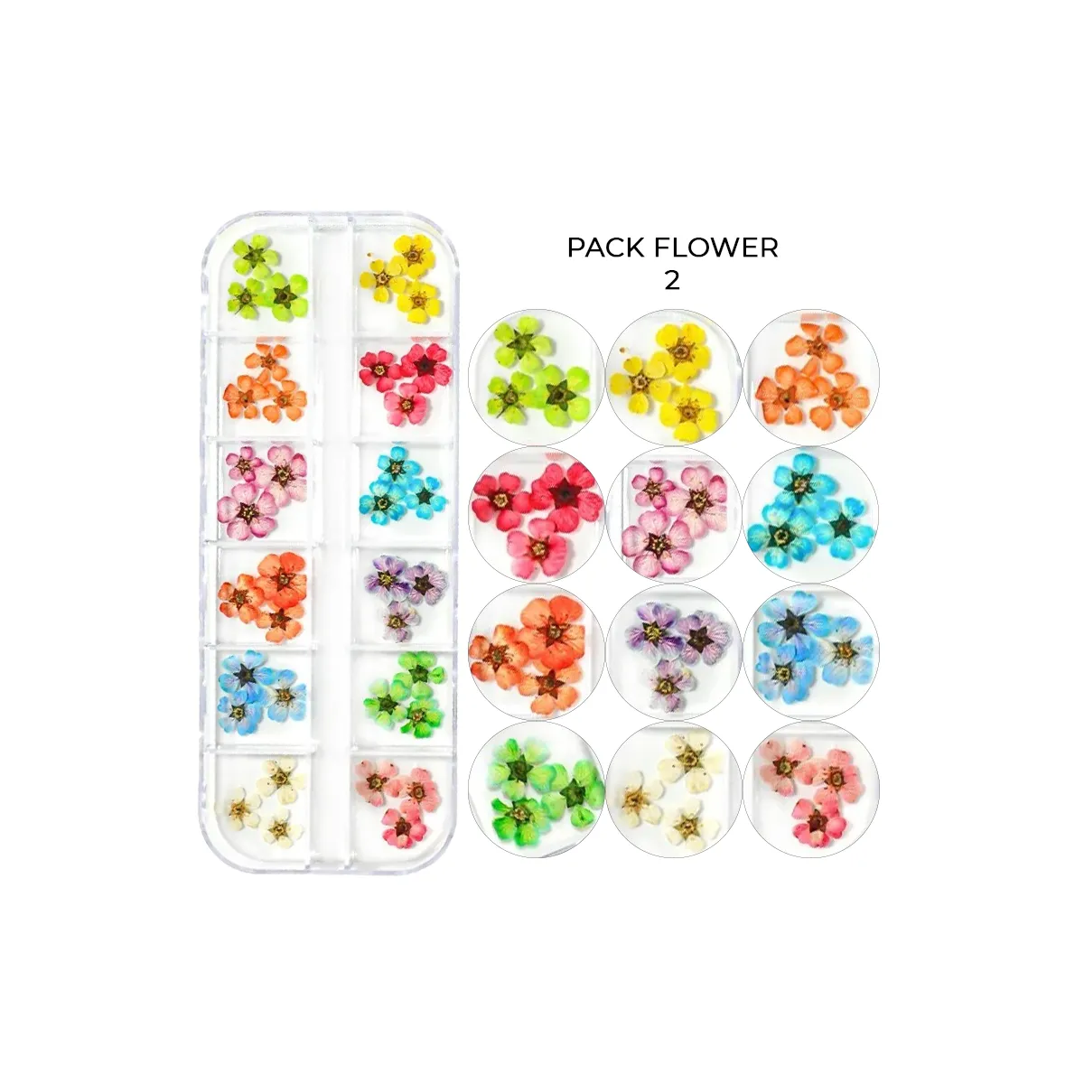 Pack Flowers n°2