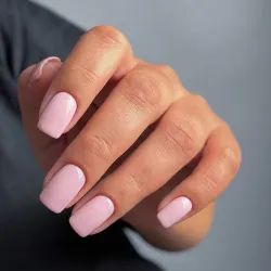 Pure Creamy 175 Frosting Rose