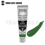 Permanent Green Middle Turner 43 (20ml)