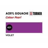 Colour Pearl Violet Turner 421 (20ml)