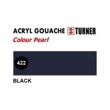 Colour Pearl Black Turner 422 (20ml)